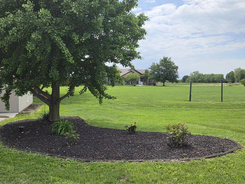 2 Year Old Landscaping
